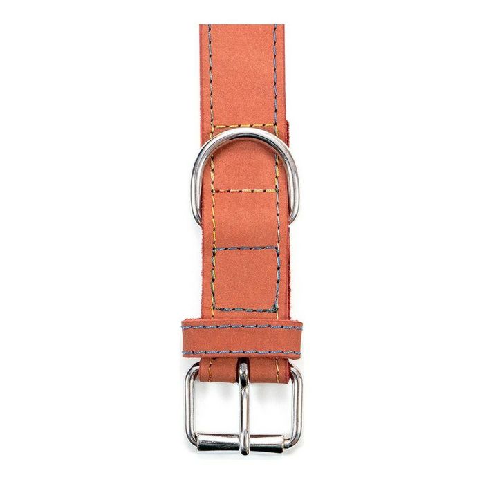 Collar Oasis 60 cm X 30 mm Rojo 2 Collar Oasis 60 cm X 30 mm Rojo 2
