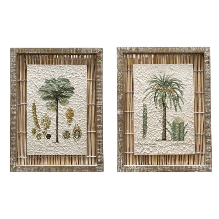 DKD Home Decor Cuadro Tropical Palmera Verde Natural 30x40 cm (4 Unidades) de Abeto y Ratán para Decoración del Hogar