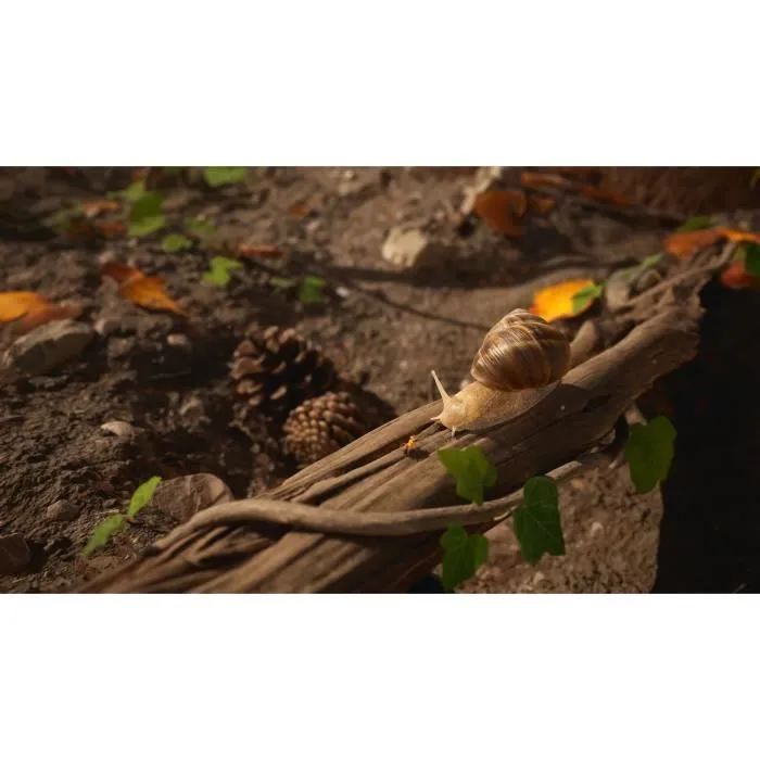 Microids The Ants Empire Of The Ants - Juego de PS5 - Edición Limitada - 3701529506819 2