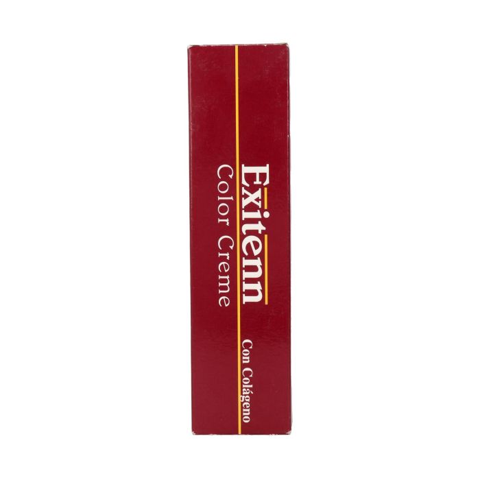 Exitenn Color Creme Tinte 60 ml Color 100.4