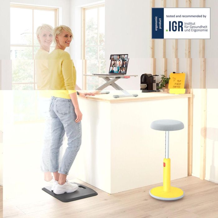 Convertidor de escritorio de pie Leitz Ergo Cosy 1 Convertidor de escritorio de pie Leitz Ergo Cosy 1