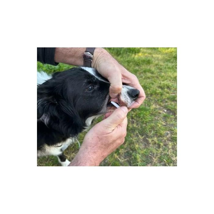 Doleonat 21 para perros de más de 20 kg, 15 mL