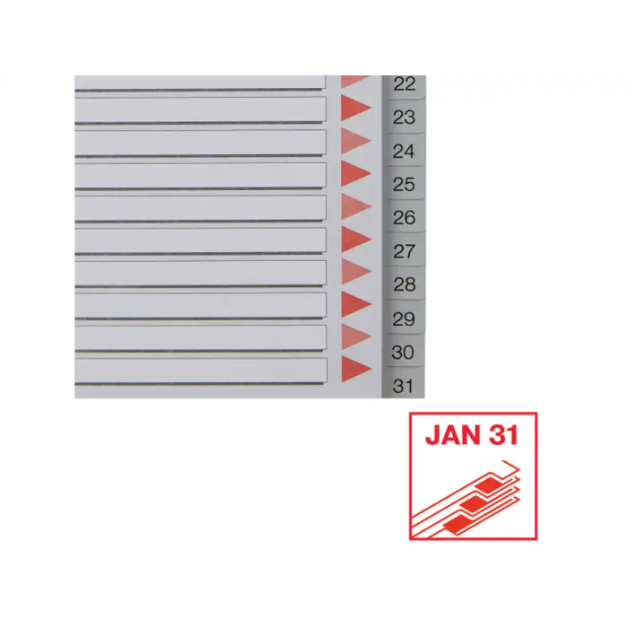 Esselte Índice Numérico Multitaladro 1-31 Polipropileno A4 Gris con Carátula Índice Cartón Color 4