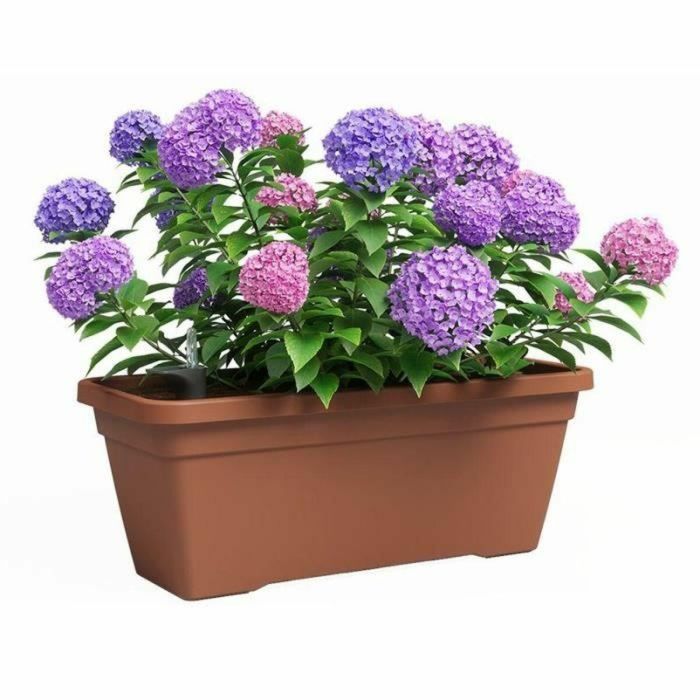 Jardinera - Plástico - Terracota - Rectangular - L57,9 x D24,3 x H22cm - ARTEVASI 1