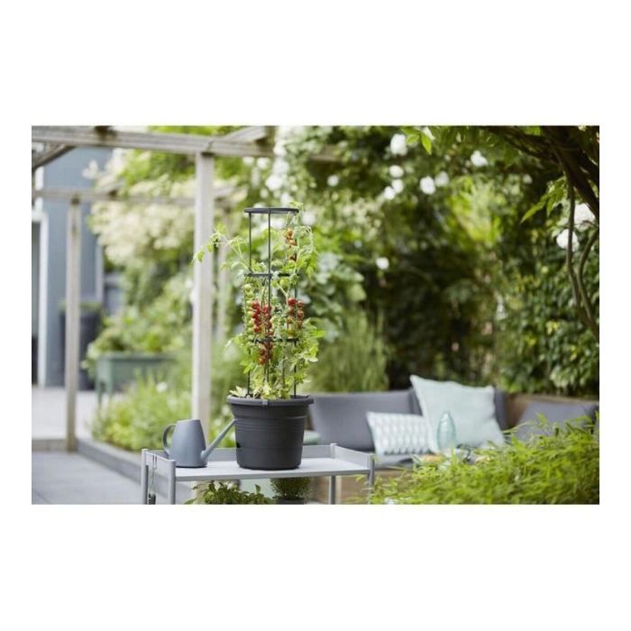 Maceta Elho Basics Tomato Negro (Ø 33 cm) 1 Maceta Elho Basics Tomato Negro (Ø 33 cm) 1