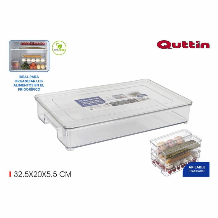 Organizador Multiusos Quttin Con Tapa (32,5 x 20 x 5,5 cm) 1