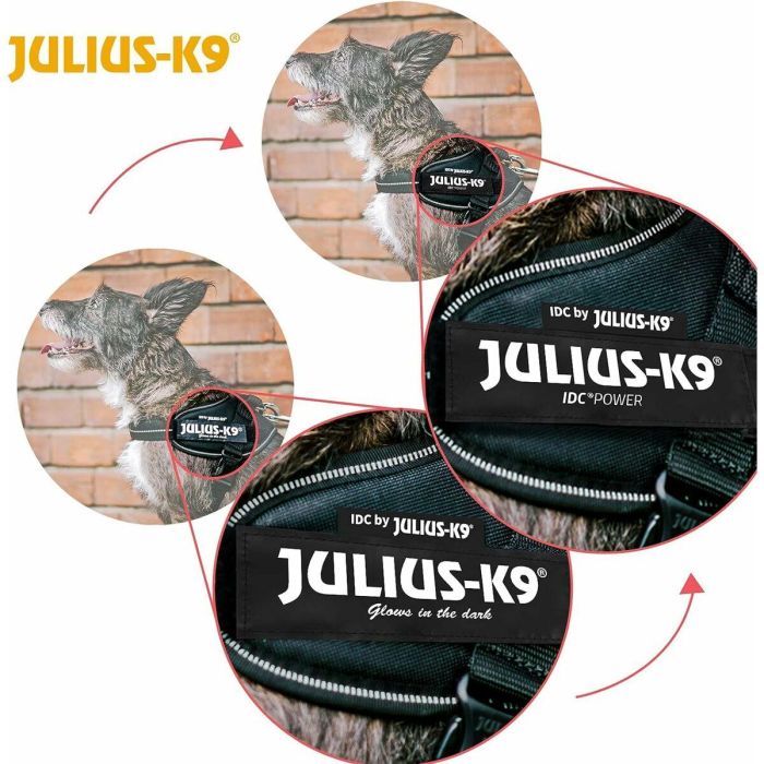 Arnés para Perro Julius K9 IDC Negro 2 Baby 2 (XS/S) 2