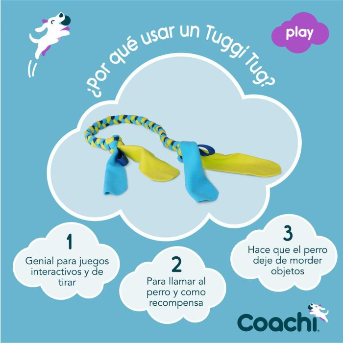 Coachi Tuggi Tug Juguete de Adiestramiento para Perros y Cachorros - Resistente para Tirar y Jugar - Antimordiscos Azul-Lima-Azul Claro 7
