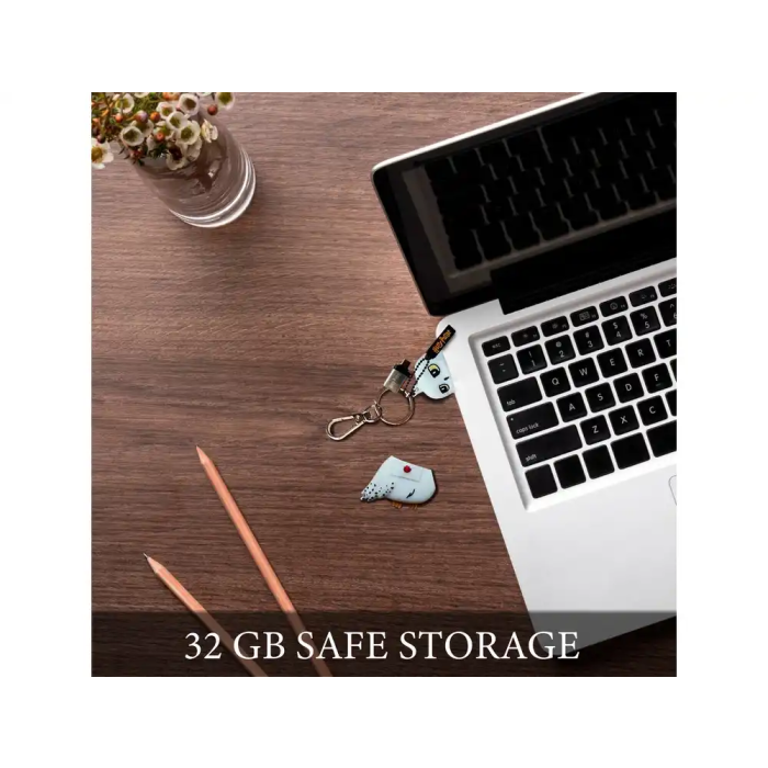 Wondee Llavero USB Hedwig 32GB Harry Potter Pendrive con Adaptador USB C 5