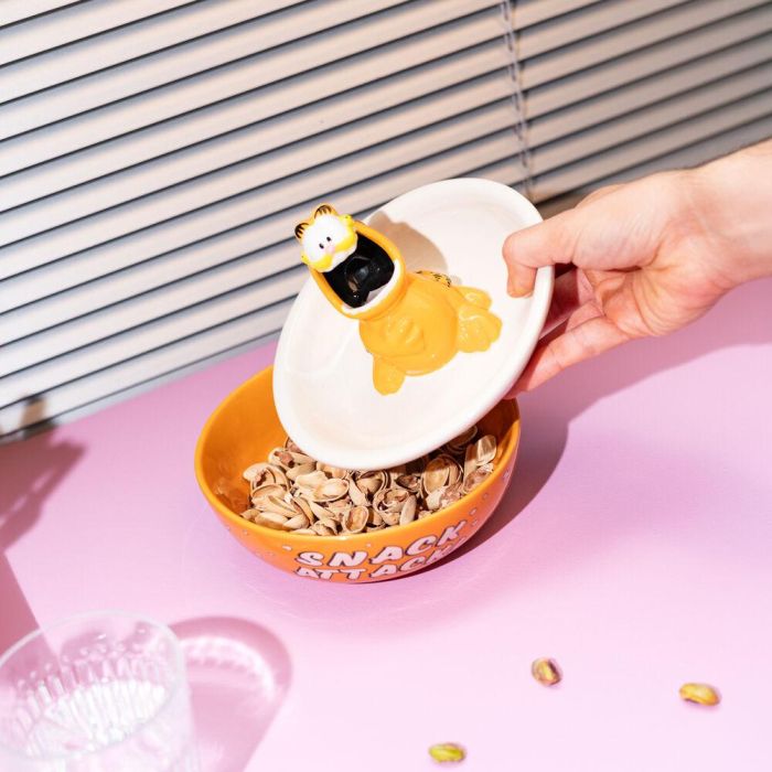 Bowl Snack 3D Garfield 7