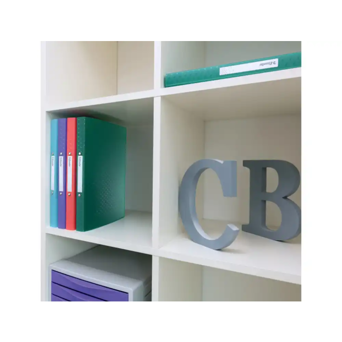 Esselte Colour Breeze Carpeta 2 Anillas Redondas 25 mm DIN A4 Polipropileno Colores Surtidos 2