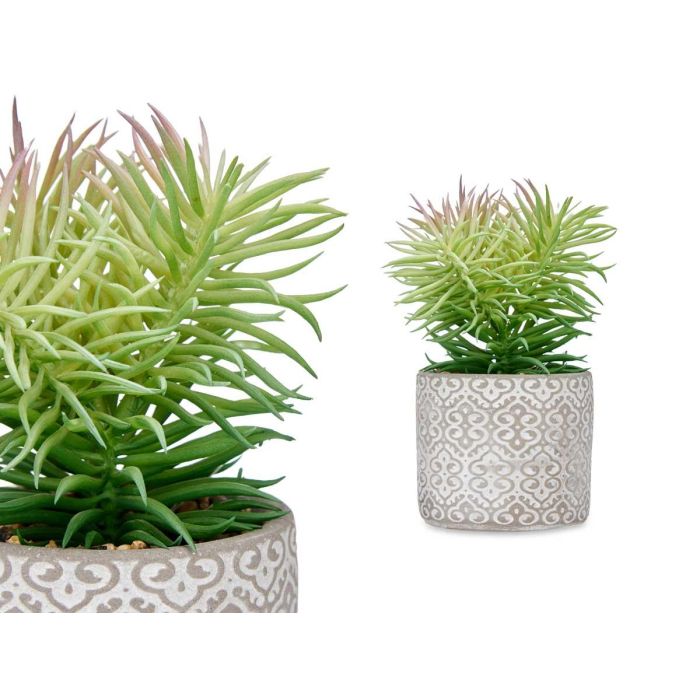 Planta Hoja Fina Maceta Gris Ibergarden 12X22CM (8 Unidades) 2 Planta Hoja Fina Maceta Gris Ibergarden 12X22CM (8 Unidades) 2