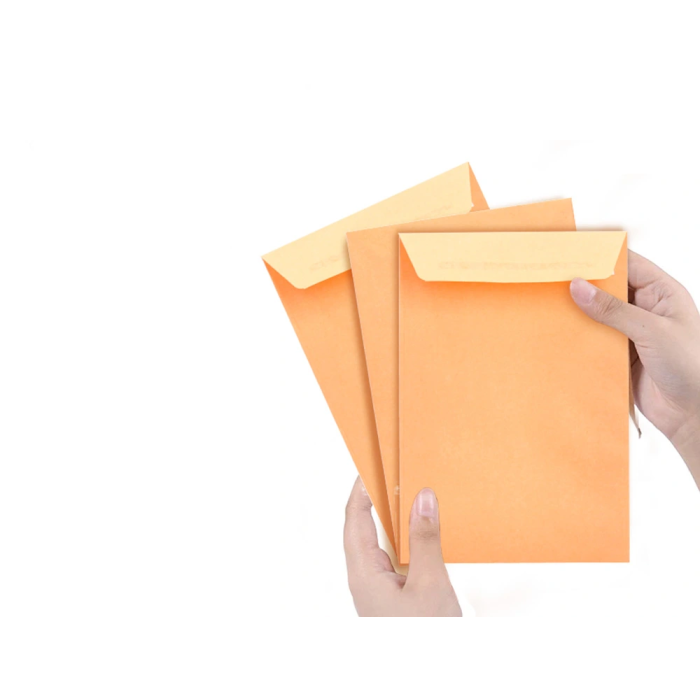 Liderpapel Bolsa N.0 Cel Caña Sobres Salarios 100x145mm Tira Silicona Caja 1000 Unidades 2