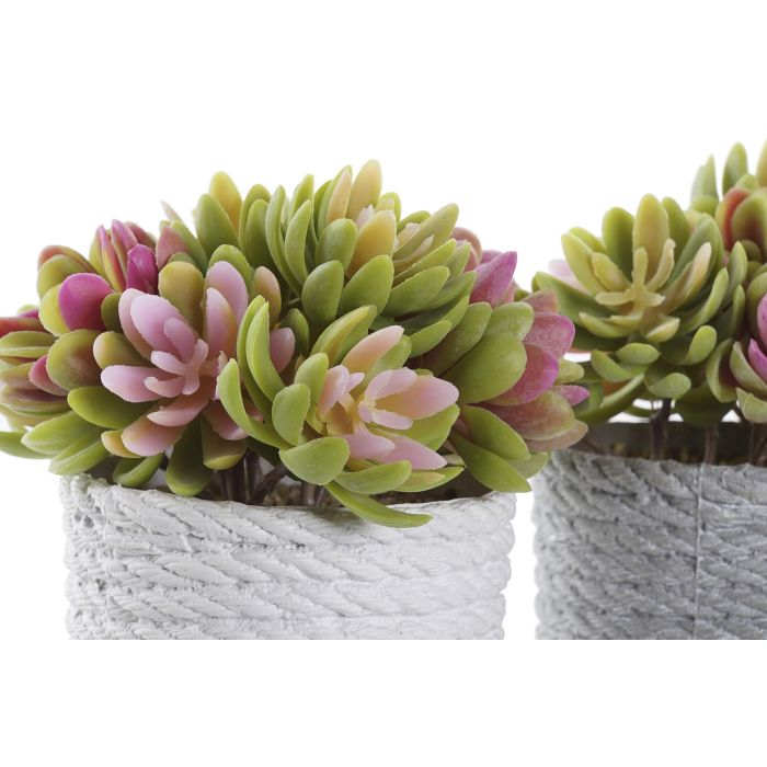 DKD Home Decor Planta Artificial Decorativa, Pack de 4 Unidades, Colores Beige y Gris, 14.5x14.5x16 cm, Material PE y EVA 1 DKD Home Decor Planta Artificial Decorativa, Pack de 4 Unidades, Colores Beige y Gris, 14.5x14.5x16 cm, Material PE y EVA 1