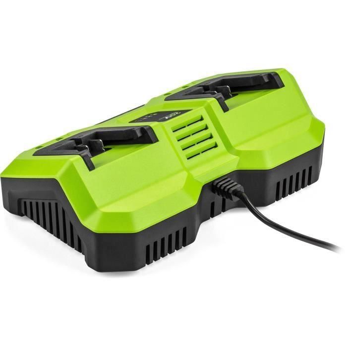 Cargador doble - FIELDMANN - Para baterías de 20 V - Carga 2 Ah en 60 min - Compatible con 2 Ah, 4 Ah 1 Cargador doble - FIELDMANN - Para baterías de 20 V - Carga 2 Ah en 60 min - Compatible con 2 Ah, 4 Ah 1
