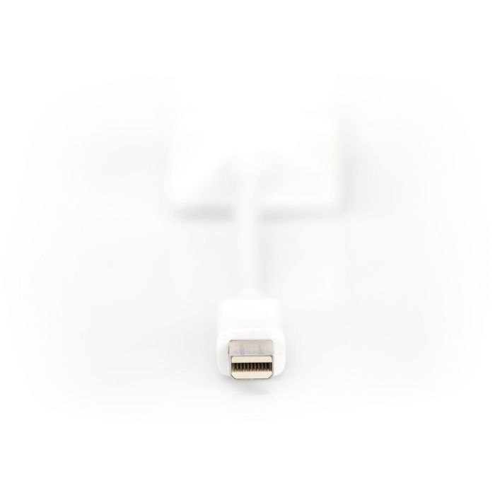 Adaptador DisplayPort a VGA Digitus by Assmann DB-340407-001-W Blanco Negro 15 cm 1 Adaptador DisplayPort a VGA Digitus by Assmann DB-340407-001-W Blanco Negro 15 cm 1