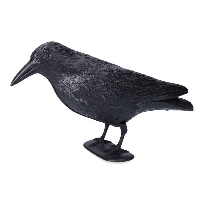 Edm Cuervo Ahuyenta Pájaros para Jardín y Tejados 19 x 39 cm Polipropileno Negro 0 Edm Cuervo Ahuyenta Pájaros para Jardín y Tejados 19 x 39 cm Polipropileno Negro 0