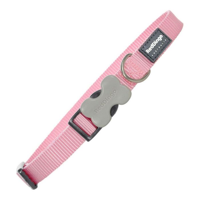 Red Dingo Collar Perro Liso Rosa Nylon 15mm x 24-37cm Resistente con Anilla y Hebilla de Acero Inoxidable