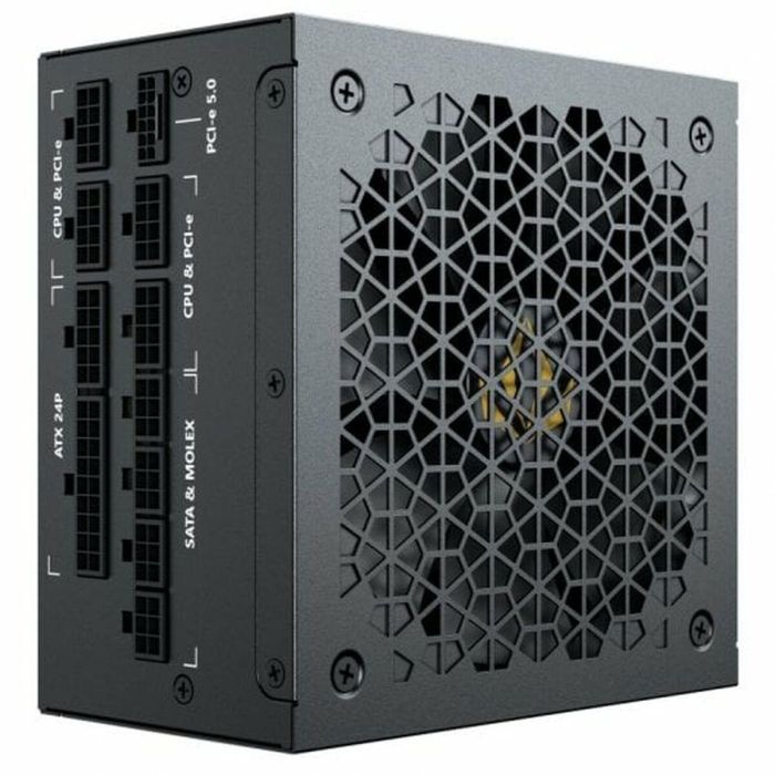 Fuente de Alimentación Forgeon Bolt PSU 1000 W 80 Plus Gold 2 Fuente de Alimentación Forgeon Bolt PSU 1000 W 80 Plus Gold 2