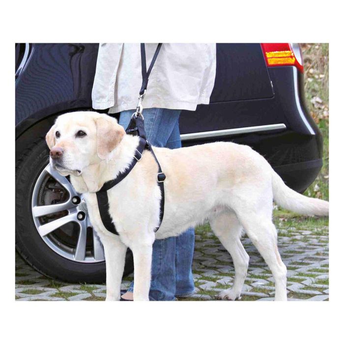 Correa para Perro Trixie Friends on Tour Negro 30 cm 2 Correa para Perro Trixie Friends on Tour Negro 30 cm 2