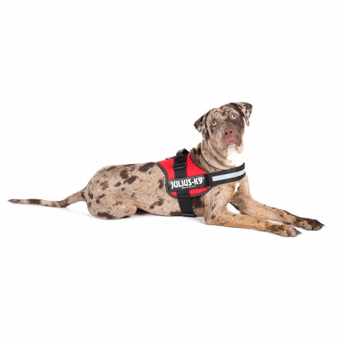 Arnés para Perro Julius K9 Power Rojo L/XL 2 8