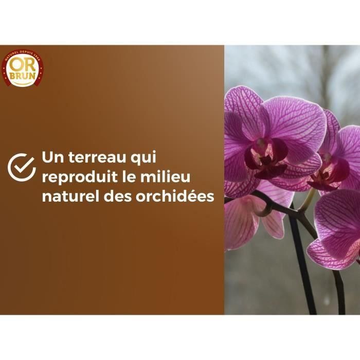 Tierra para orquídeas - BROWN GOLD - OBRTORC6U - 6L - Favorece el crecimiento 3 Tierra para orquídeas - BROWN GOLD - OBRTORC6U - 6L - Favorece el crecimiento 3