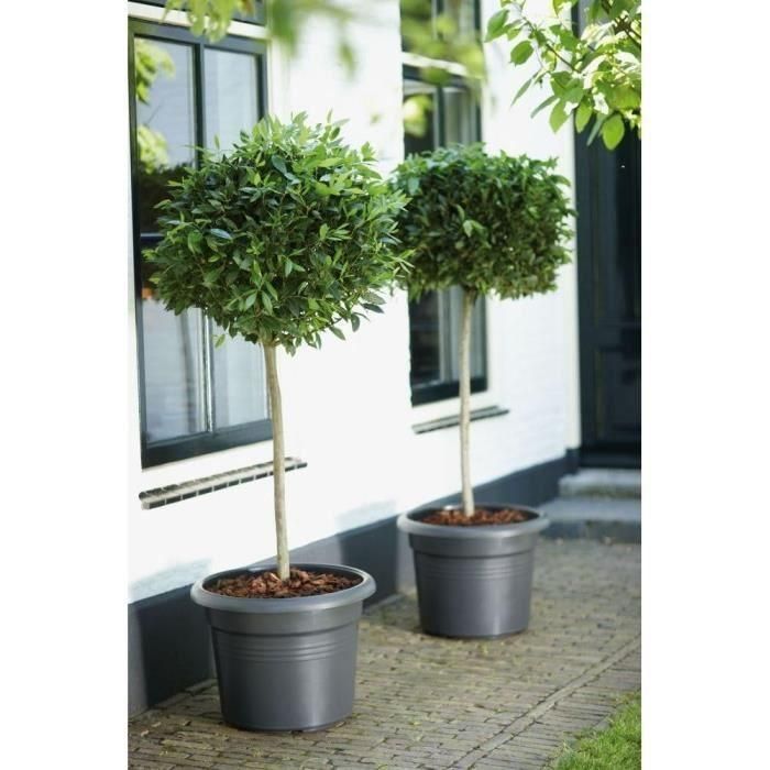 Jardinera Elho Green Basics Cilinder 55 - Negro - Ø 54 x H 41 cm - exterior - 100% reciclado 5