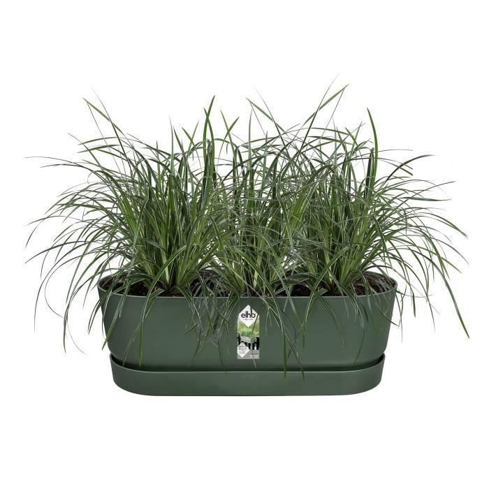 ELHO - Maceta - Greenville Easy Balcony 52 - Verde hoja - Balcón - L 21,2 x W 52 x H 19,4 cm 2 ELHO - Maceta - Greenville Easy Balcony 52 - Verde hoja - Balcón - L 21,2 x W 52 x H 19,4 cm 2
