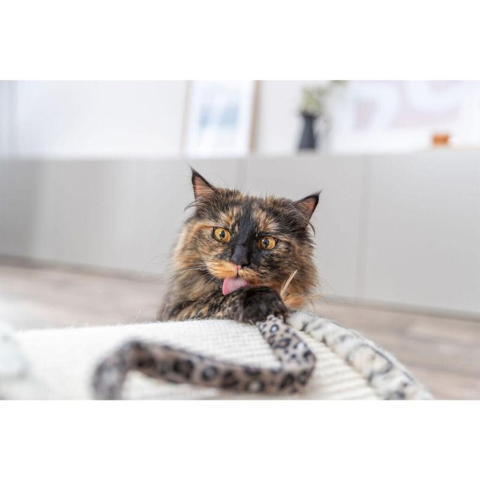 Rascador para Gatos Trixie Leo Crema 25 cm 2