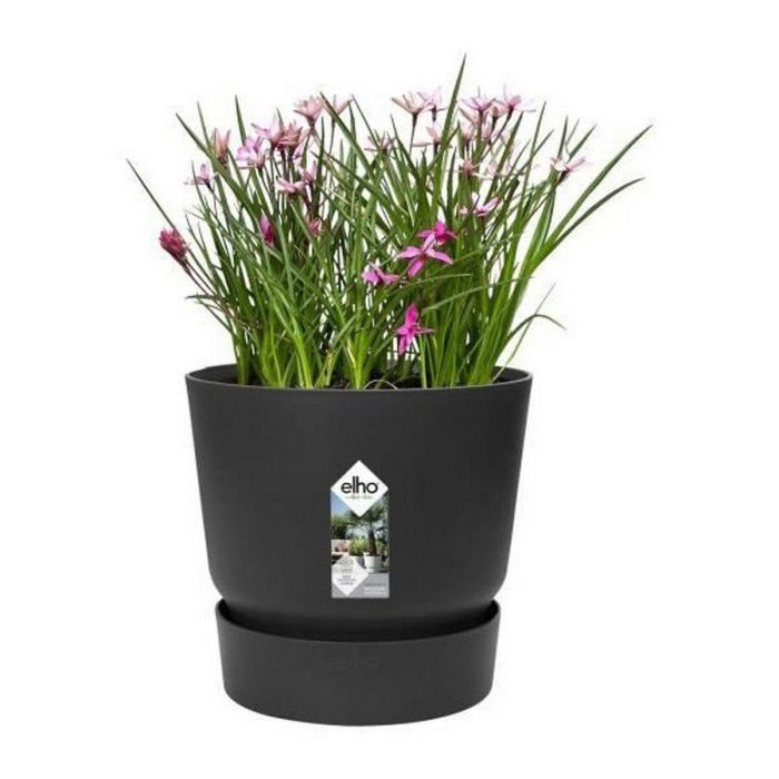 Maceta Elho Greenville Negro Plástico Redonda Redondo Ø 30 cm Ø 29,5 x 27,8 cm 3 Maceta Elho Greenville Negro Plástico Redonda Redondo Ø 30 cm Ø 29,5 x 27,8 cm 3