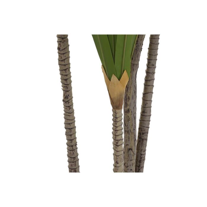 Planta Decorativa DKD Home Decor (80 x 80 x 180 cm) 3 Planta Decorativa DKD Home Decor (80 x 80 x 180 cm) 3