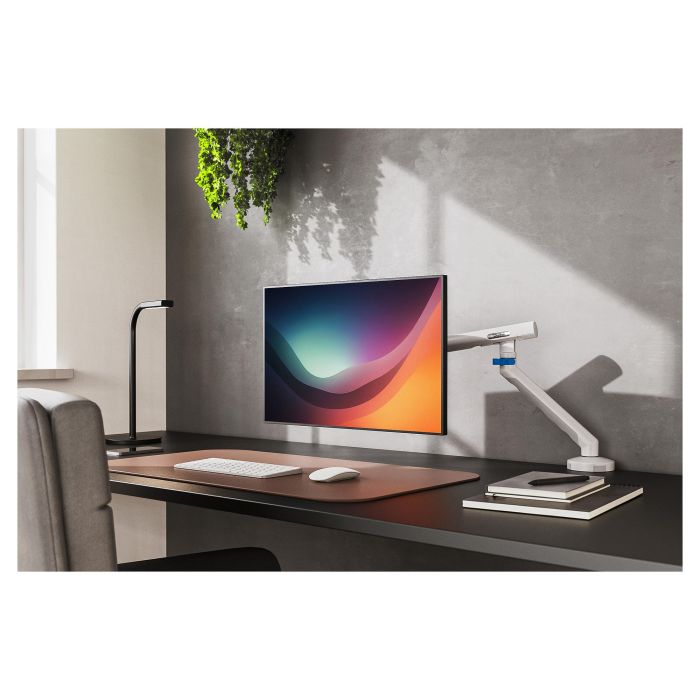 Digitus Soporte de monitor de escritorio con brazo, 35 pulgadas (88.9 cm), ajuste de altura, inclinacion y rotacion, hasta 10 kg, VESA 100x100, blanco