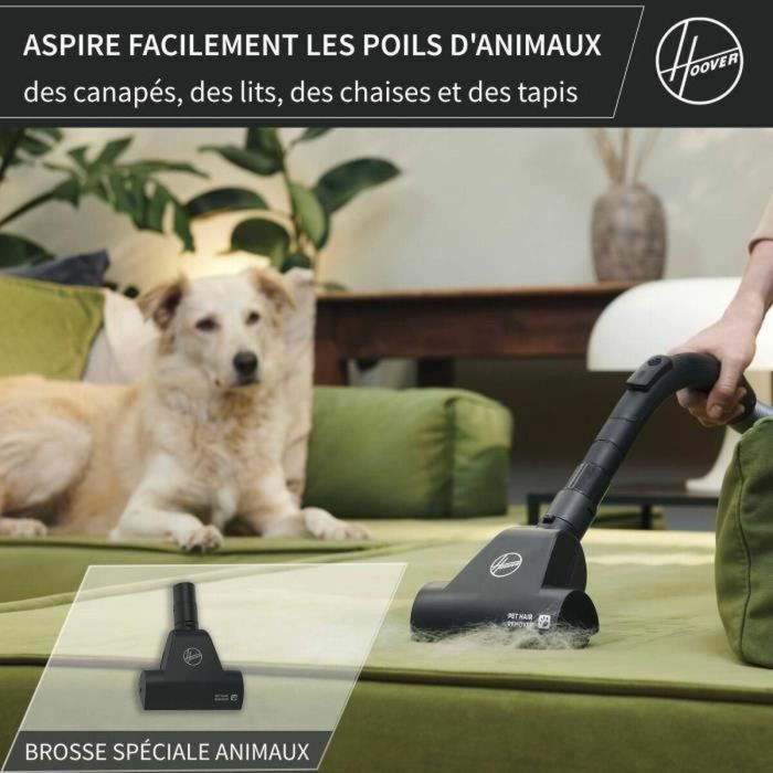 Hoover HE1 Aspirador de Bidón con Bolsa Compacta y Potente, Gran Capacidad 2.5L, Alto Rendimiento Suelos Duros y Alfombras 1 Hoover HE1 Aspirador de Bidón con Bolsa Compacta y Potente, Gran Capacidad 2.5L, Alto Rendimiento Suelos Duros y Alfombras 1