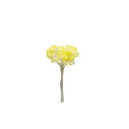 Bolsa 12 Mini Flores Pomos Margarita Amarillo Precio: 7.95000008. SKU: B1GJPLHWAW