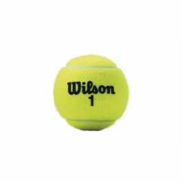 Pelotas de Tenis Wilson Championship XD (3 pcs)