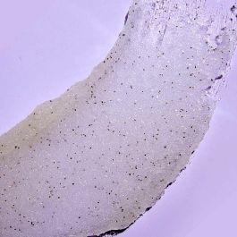 Exfoliante de tahitian vanilla bean 510 gr Exfoliante de tahitian vanilla bean 510 gr
