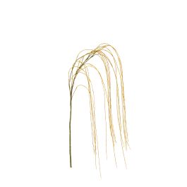 Planta Colgante Artificial Weeping Willows Amarillo Plástico Precio: 2.6257. SKU: B16ZCZH9MF