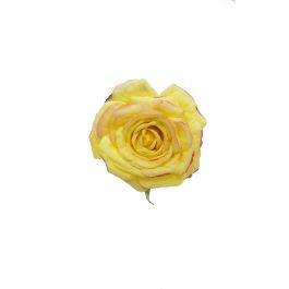Flor Flamenca Pick Rosa Escarlata Naranja Precio: 1.79000019. SKU: B1EM8JAJRQ