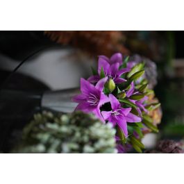 Flor Artificial Vara de Tiger Lily Lila Latex