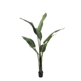 Planta Artificial Sterlitzia 150 cm Verde Tela