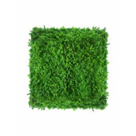 Jardín Vertical Artificial Musgo Anti-UVA Verde Plástico Precio: 50.94999998. SKU: B19DQW5MA2