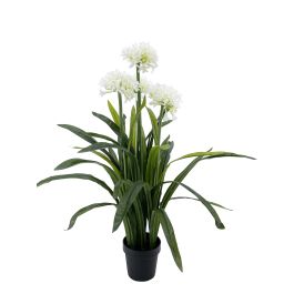 Planta Artificial Agapanthus 4 Flores 100 cm Blanco Verde Tela Precio: 37.50000056. SKU: B1ACX9PCES