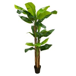 Planta Artificial Bananera 250 cm Verde Tela Precio: 157.9499999. SKU: B1EYH7MA26