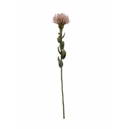 Relleno Artificial Vara de Protea Rosa Plástico Precio: 2.95000057. SKU: B17NHQV88R