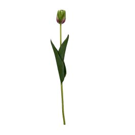 Flor Artificial Tulipan Verde Foam