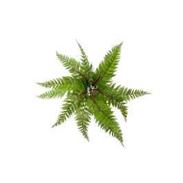 Planta Artificial Helecho Plástico 60 cm Diámetro Verde Precio: 5.94999955. SKU: B17X6NHY6L