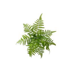 Planta Artificial Helecho Plástico 50 cm Diámetro Verde Precio: 3.95000023. SKU: B1HWALQLG5