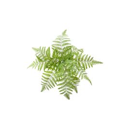 Planta Artificial Helecho Plástico 50 cm Diámetro Verde Clar Claro Precio: 3.95000023. SKU: B1G6NBPYWY