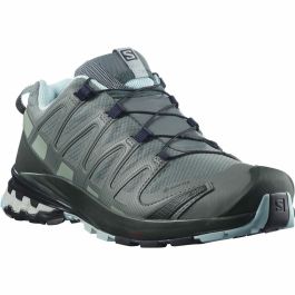 Zapatillas de Running para Adultos XA PRO Salomon 3D v8 Gore-Tex Mujer Gris