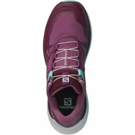 Zapatillas de Running para Adultos Salomon Ultra Glide Morado Mujer